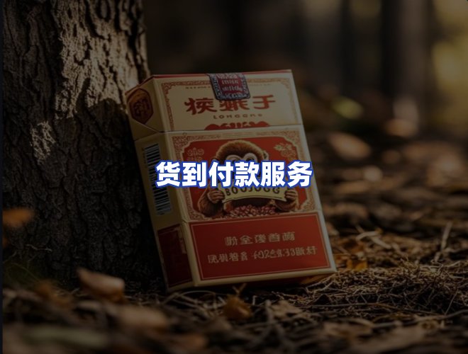 服务优势
